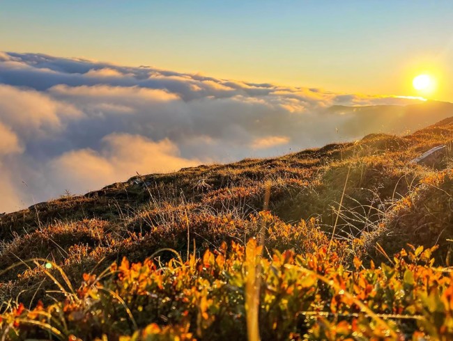 Sonnenaufgangswanderung zum Kleinen Königstuhl