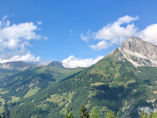 Ausblick