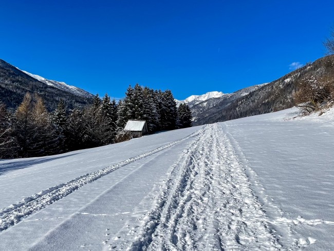 Spazierweg in Fell